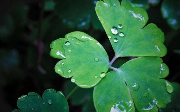 沈阳到汕头旅游团多少钱