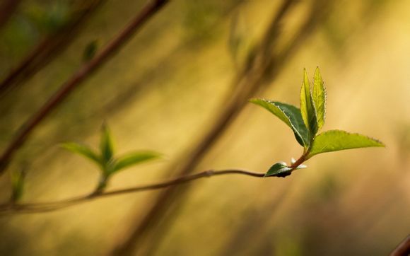 江西旅游景点有什么美食