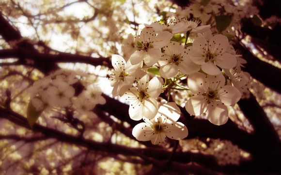 沈然旅游景点有哪些