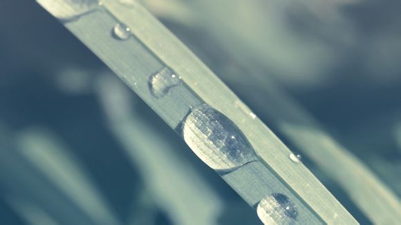 沈阳内蒙5天4晚旅游攻略