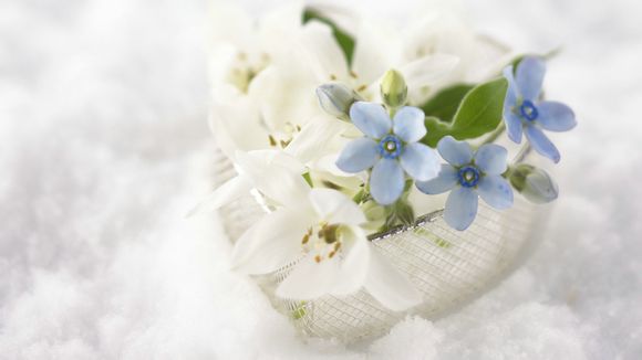 汤阴旅游团北京三日游多少钱