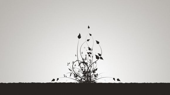 池州市内旅游景点有哪些