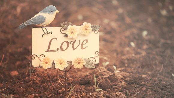 江阴长泾旅游团电话多少