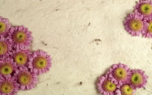 沈丘旅游团八泉峡多少钱