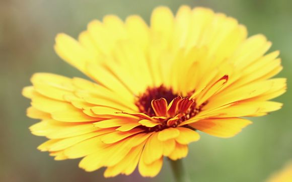 江西旅游4天三晚团双人