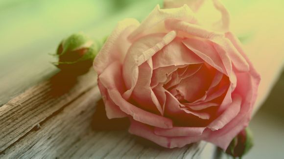 沈阳浑南出发旅游团多少钱