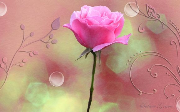 赣州一日游最佳路线