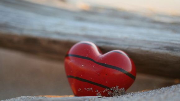 沈阳到斐济旅游团价格多少