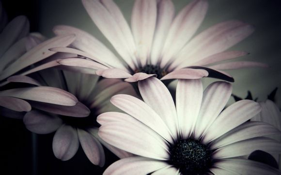 江门有什么环保旅游景点