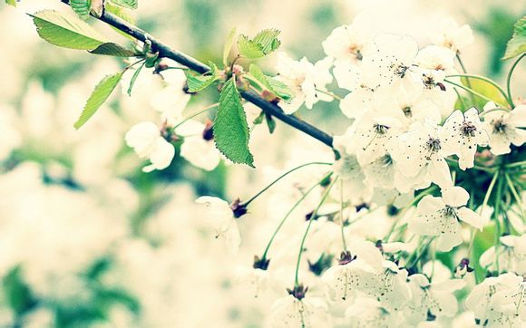 江西有什么地方旅游景点