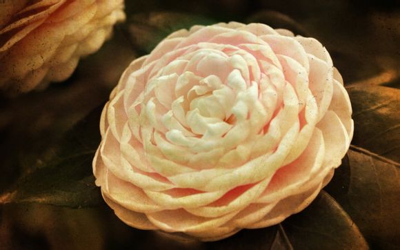 沈河旅游景点有哪些