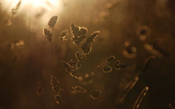 汾阳县市旅游景点有哪些