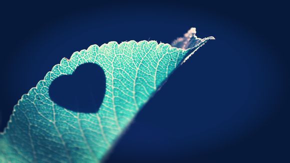 江西自驾游4天旅游路线