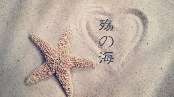 沈阳出去旅游4天