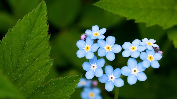 江西海洋旅游景点有哪些