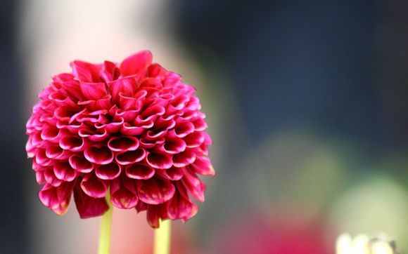 沁阳旅游团看海多少钱