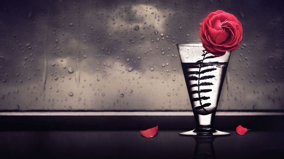 江西旅游团怎么去广东