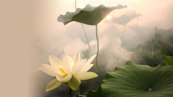 江西到西昌旅游团多少钱