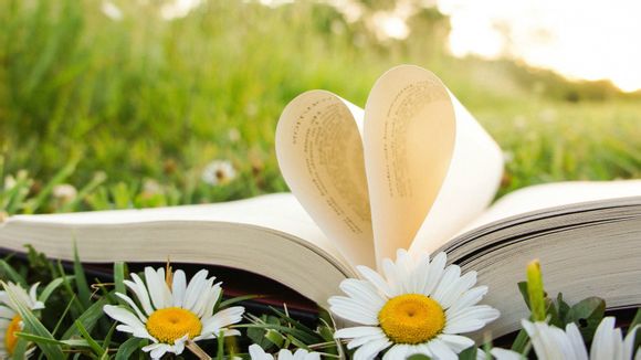 沈阳旅游3到4天多少钱