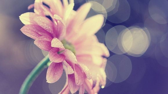 江西婺源旅游团价位多少