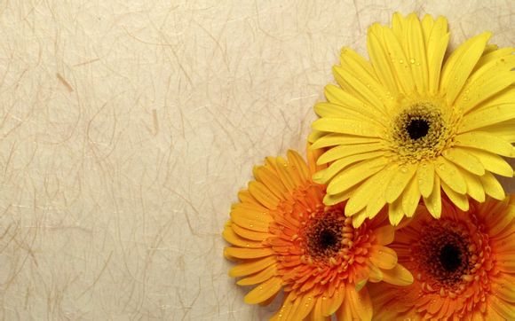 沈阳有哪些名胜旅游景点