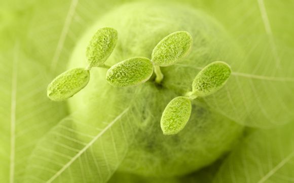 江门逢江有哪些旅游景点