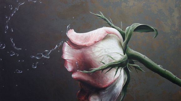 解家老家河南菜