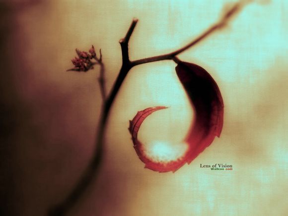 江阴峭岐旅游团价格多少