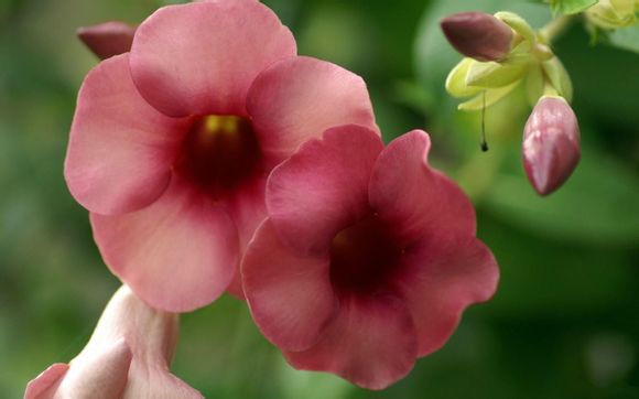 沂水田野旅游景点有哪些