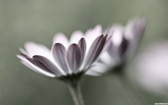 沅城村旅游景点有哪些