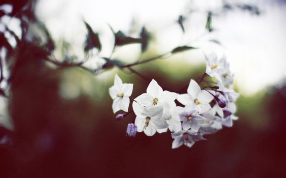 沂河轮船旅游团购多少钱