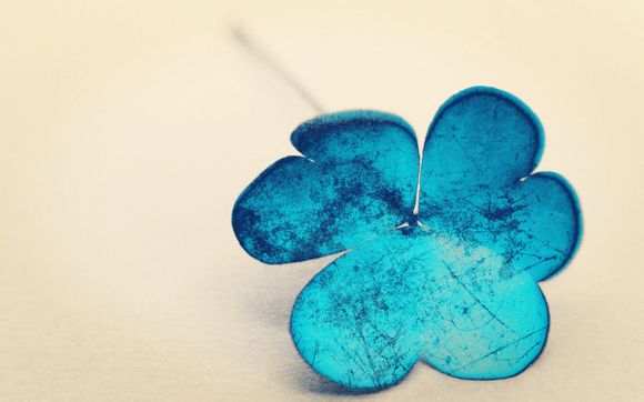 沈阳旅游团亲子游多少钱