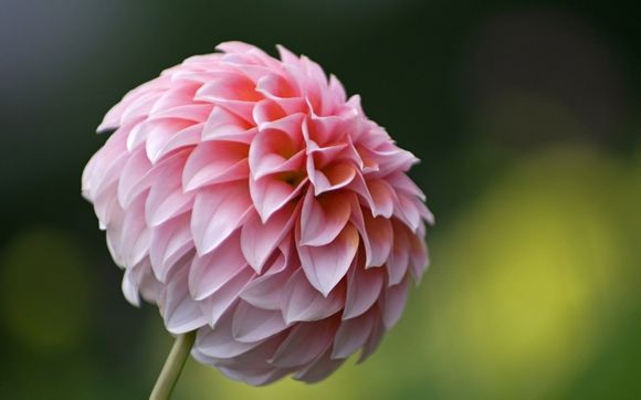 沈阳悉尼旅游团报价多少