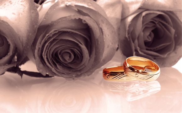 沈阳带娃4天3晚旅游