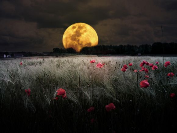 沁县到内蒙旅游团电话多少