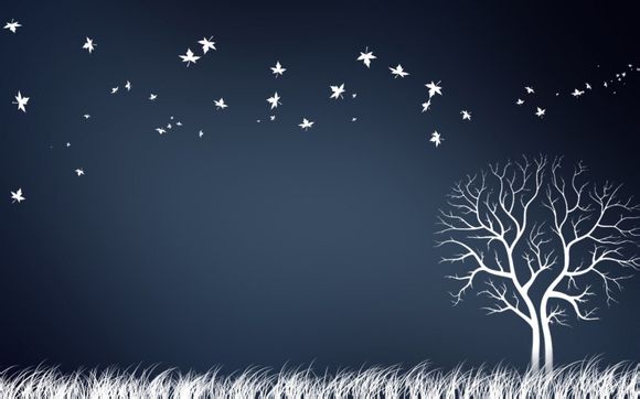 池州旅游4天多少钱