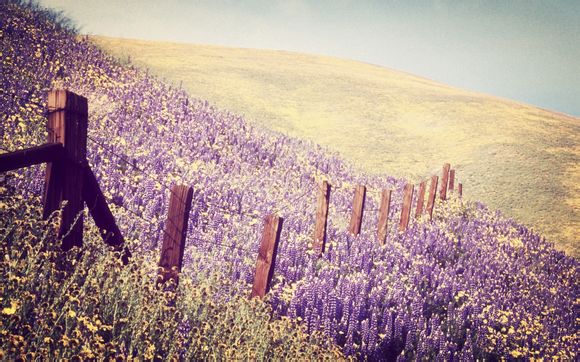 江门市新会区城市管理和综合执法局