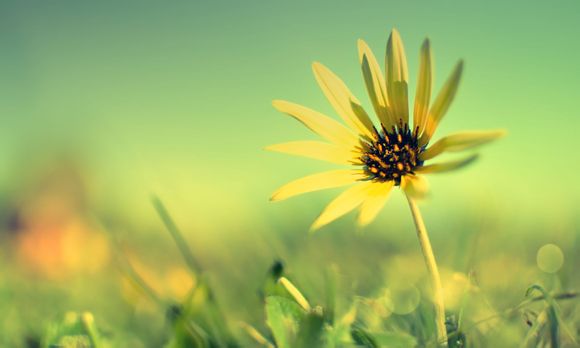 台式电风扇功率