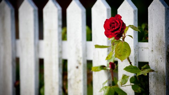 江西赣州龙南市有哪些旅游景点