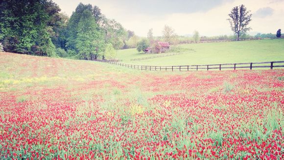 江西4天旅游价格