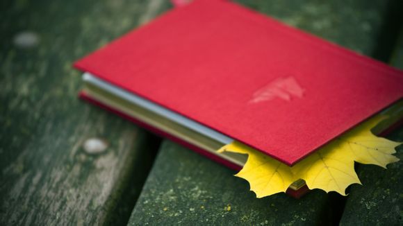 江西和安徽的旅游景点有哪些